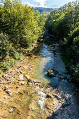 İki tarafında yeşil orman olan bir nehir. Su temiz ve kayalar nehrin dört bir yanına dağılmış.