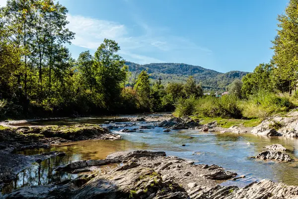 Kayalık bir kıyı şeridi ve arkasında ağaçlar olan bir nehir. Su sakin ve berrak, ve gökyüzü mavi. Huzurlu ve huzurlu bir sahne.