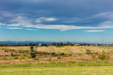 Birkaç ağaç ve bulutlu bir gökyüzü olan büyük bir tarla. Gökyüzü çoğunlukla mavi ve birkaç bulut etrafa saçılmış.