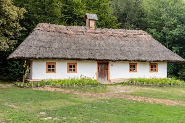 Sazlı çatısı ve beyaz kapısı olan küçük bir ev. Ev çiçek ve bitkilerle çevrili bir bahçeyle çevrili.
