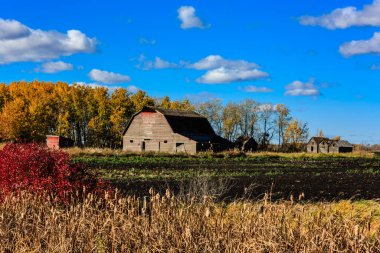 Kırmızı ahırı ve birkaç binası daha olan bir çiftlik. Ahır eski ve gökyüzü mavi.