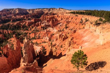 Bryce Canyon Ulusal Parkı, Birleşik Devletler 'in Utah' ın güneybatısında yer almaktadır ve 