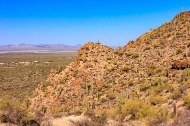 Arkasında dağ olan bir çöl manzarası. Çöl kaktüs dolu ve gökyüzü açık ve mavi.