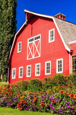 A red barn with a white roof and a white door. The barn is surrounded by a garden of flowers clipart