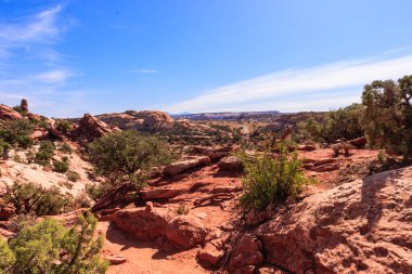 Arka planda mavi gökyüzü olan bir çöl manzarası. Gökyüzü açık ve güneş parlıyor.