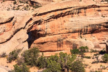 Natural Bridges National Monument, Utah 'ta bulunan ABD Ulusal Anıtı. Sipapu Köprüsü, Anıt 'taki üç köprü arasında en büyük ve en görkemli olanı..