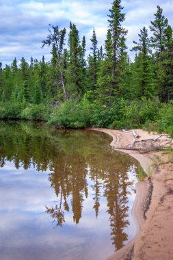 Arka planda orman olan bir göl. Su sakin ve ağaçlar yeşil. Sudaki ağaçların yansıması huzurlu ve huzurlu bir atmosfer yaratır.