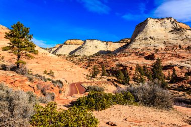 Bir yol, yanında bir ağaç olan bir çöl manzarası boyunca esiyor. Gökyüzü açık ve mavidir, ve arkaplandaki dağlar çorak araziye karşı güzel bir kontrasttır.