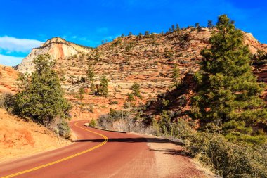 Kırmızı çizgili ve arkasında ağaçlar olan bir yol. Yol dönüyor ve ağaçlar yeşil.