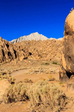 Arkasında dağ olan kayalık bir çöl manzarası. Gökyüzü açık ve mavi
