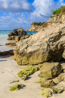 Önünde yeşil bir kaya olan kayalık bir sahil. Kaya kum ve okyanusla çevrilidir.