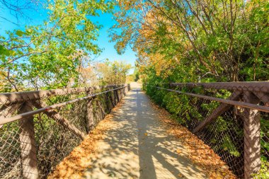 Yanı çitle çevrili bir patika ve yeri terk ediyor. Yapraklar turuncu ve sarı.
