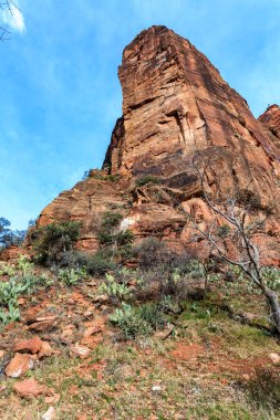 Üzerinde ağaç olan bir dağ. Dağ çok uzun ve ağaç küçüktür. Gökyüzü mavi ve dağ kırmızı toprakla kaplı.