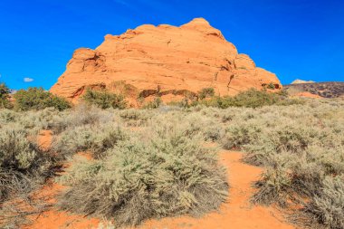 Birkaç çalılık ve patikası olan kayalık bir yamaç. Gökyüzü mavi ve güneş parlıyor.