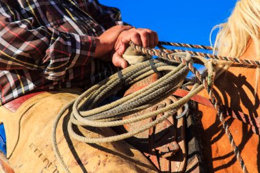 Bir adam ata biniyor ve ip tutuyor. İp atın kuyruğuna bağlı.