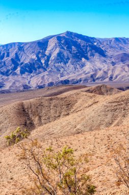 Önünde ağaç olan bir dağ sırası. Dağ sırası kahverengi toprakla kaplı ve ağaç çıplak.