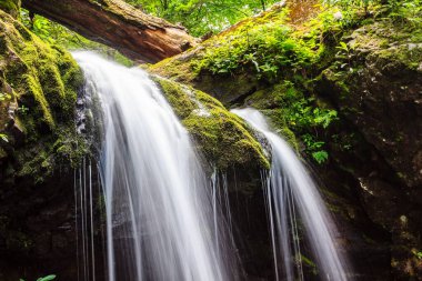 Kayaların üzerinde yosun yetişen bir şelale. Su berrak ve kayalardan aşağı akıyor. Huzurlu ve huzurlu bir sahne.