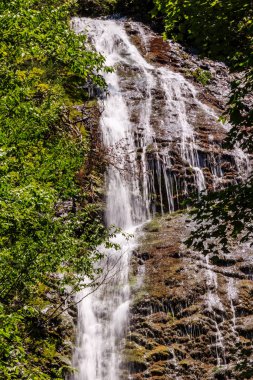 Resimde, arka planda yemyeşil bir orman bulunan bir şelale gösteriliyor. Su bir uçurumun kenarından aşağı akıyor, güzel ve huzurlu bir manzara yaratıyor.