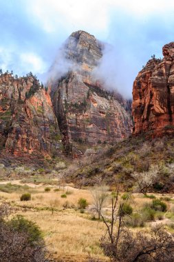 Arka planda sisli bir gökyüzü olan bir dağ sırası. Dağlar ağaçlarla kaplı ve gökyüzü bulutlu.