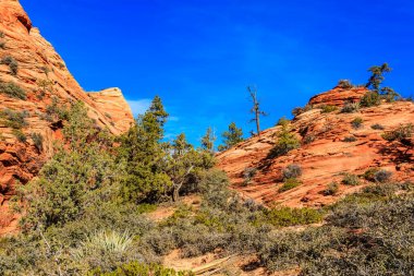 Birkaç ağaç ve çalısı olan kayalık bir yamaç. Gökyüzü mavi ve berrak. Yalnızlık ve huzur kavramı