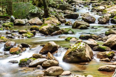 Kayalık bir alandan akan bir su akıntısı. Su temiz ve kayalar büyük. Huzurlu ve huzurlu bir sahne.