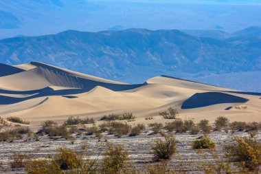 Arkasında dağ olan bir çöl manzarası. Gökyüzü mavi ve güneş parlıyor.