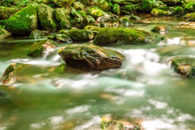 Bir kaya, bir su akıntısının ortasındadır. Su berrak ve kaya yeşil.