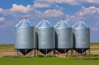 Dört silo bir tarlada duruyor. Silolar gümüş renginde ve sırayla dizilmiş. Gökyüzü mavi ve arka planda bazı bulutlar var