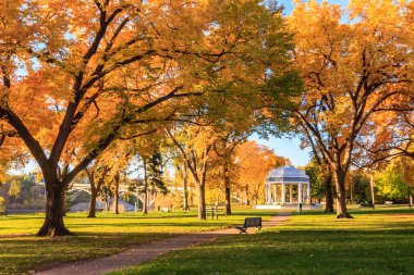 Bankı ve çardağı olan bir park. Ağaçlar yapraklarla dolu ve gökyüzü mavi