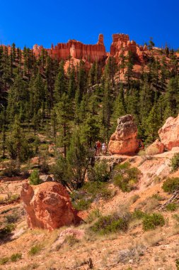 Bryce Canyon Ulusal Parkı, Birleşik Devletler 'in Utah' ın güneybatısında yer almaktadır ve 