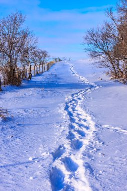 Arkasında çit olan karlı bir patika. Kar derin ve yol uzun.