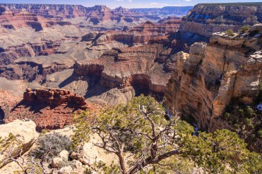 A view of the Grand Canyon with a tree in the foreground. The tree is small and he is in the middle of the canyon. The view is breathtaking and serene clipart