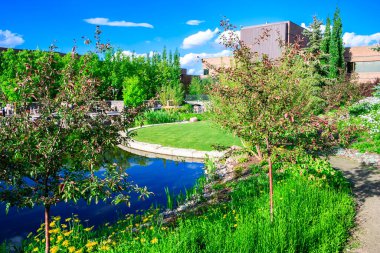 Göletli ve ağaçlı bir park. Ağaçlar yeşil ve gölet mavi. Park dinlenmek ve doğanın tadını çıkarmak için huzurlu bir yerdir.