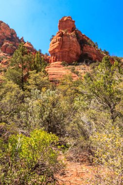 Kenarlarında yeşil orman olan kayalık bir dağ. Dağ yüksek ve gökyüzü mavi.