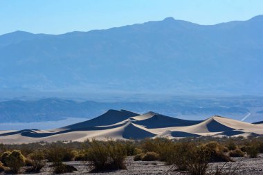 Arkasında dağ olan bir çöl manzarası. Gökyüzü mavi ve güneş parlıyor.