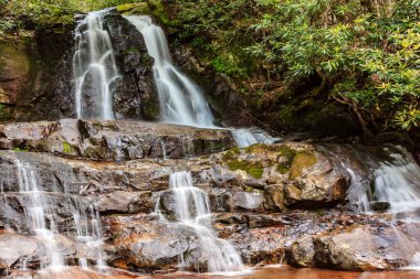 İçinde bir sürü kaya ve yosun olan bir şelale. Su kayalardan aşağı akıyor ve güzel bir manzara yaratıyor.