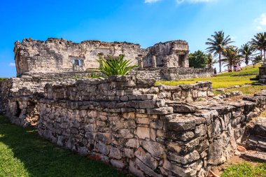 Üzerinde yeşil bir bitki yetişen taş bir bina. Bina eski ve içinde bir sürü çatlak var. Bitki duvarın dışında büyüyor ve görünüşe göre kayayı kırmaya çalışıyor.