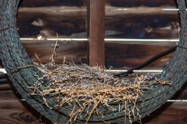 Bir dal ve saman yuvası bir telden sarkıyor. Yuva ölü dallar ve samanlarla dolu ve bir telden sarkıyor.