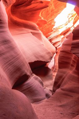 antilop Kanyonu incelenen ve Güneybatı Amerika en çok fotoğrafı çekilen yuvası kanyona sayfa, arizona, ABD yakınındaki navajo arazi üzerinde bulunan.