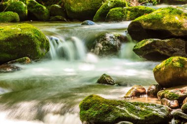 Bir su akıntısı kayaların ve yosunların üzerinden akar. Su temiz ve kayalar yeşil. Huzurlu ve huzurlu bir sahne.