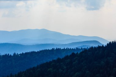Dağlar ağaçlarla kaplı ve gökyüzü mavi. Dağlar çok yüksek ve ağaçlar çok yeşil.