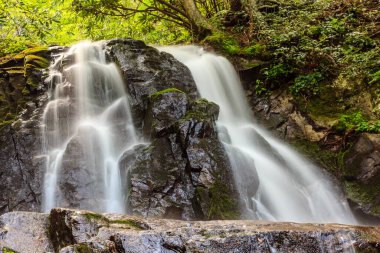 Önünde yosunlu bir kaya olan bir şelale. Su kayadan aşağı akıyor ve üzerinde yosunlar büyüyor. Huzurlu ve huzurlu bir sahne.