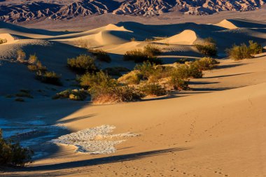 İçinden küçük bir su akıntısı akan bir çöl manzarası. Güneş batıyor, sahne üzerine sıcak bir parıltı saçıyor.