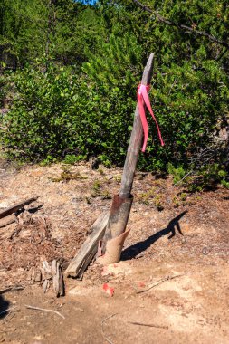 A wooden pole with a red ribbon tied to it. The pole is leaning against a tree clipart