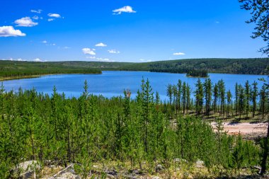 Ağaçlarla çevrili güzel bir göl ve açık mavi bir gökyüzü. Göl sakin ve huzurlu ve ağaçlar huzur ve sükunet hissi veriyor. Görüntü bir rahatlama hissi veriyor.