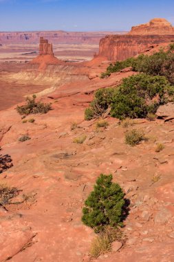 A desert landscape with a small tree in the foreground. Concept of solitude and isolation, as the lone tree stands out against the vast, barren landscape. The barrenness of the desert clipart