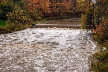 Bir nehir suyla ve yapraklarla akıyor. Su kahverengi ve yapraklar turuncu.