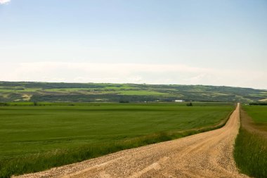 Toprak bir yol yemyeşil bir tarladan geçiyor. Gökyüzü açık ve mavidir, ve güneş parlıyor. Sahne huzurlu ve sakin, tek ses otların hafif hışırtıları.