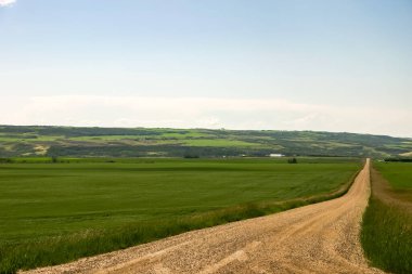 A dirt road winds through a lush green field. The sky is clear and blue, and the sun is shining brightly. The scene is peaceful and serene, with the only sounds being the gentle rustling of the grass clipart