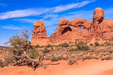 Çölün ortasında bir ağaç kütüğü var. Arka planda güzel bir dağ manzarası var.